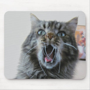 Erschütterte Katze ist schockiert Mousepad