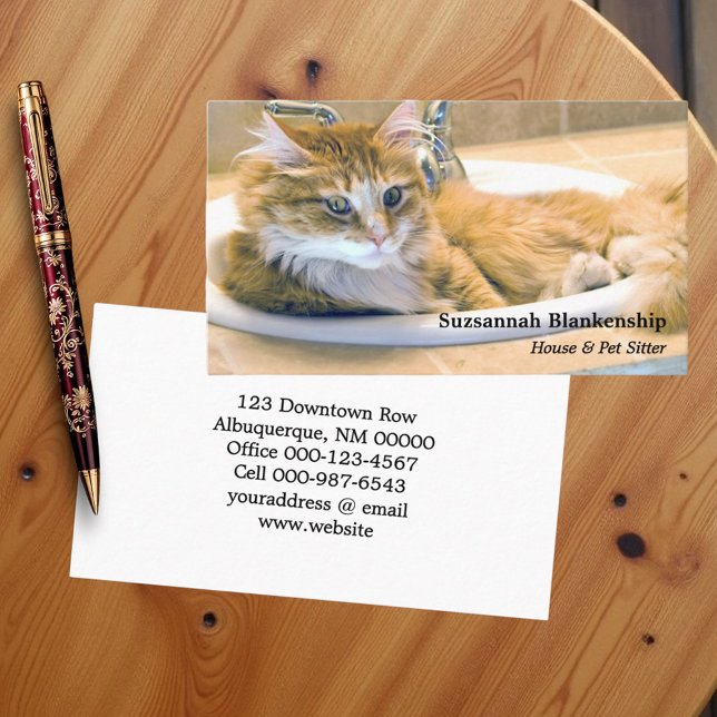 Ersetzbare Funny Cat in Sink Fotografie Visitenkarte (Business card template front and back)