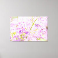 Erstaunliche Lilac-Blume