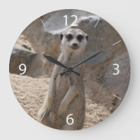 Erstaunliche Meerkatze