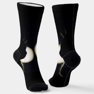Erstaunliche schwarze Katzeneinbrecher gesichtet Socken