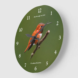 Erstaunlicher Rotschwanzkolibri auf dem Kirschbaum Große Wanduhr
