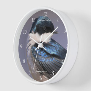 Erstaunlicher Schwalbenschwanz-Singvogel in der Fr Uhr