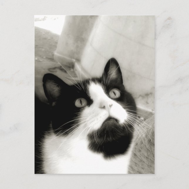 erstaunt postkarte (Vorderseite)