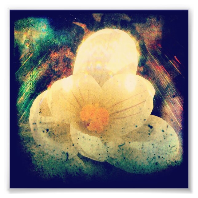 Erste Blume des Frühjahrs Fotodruck (Vorne)