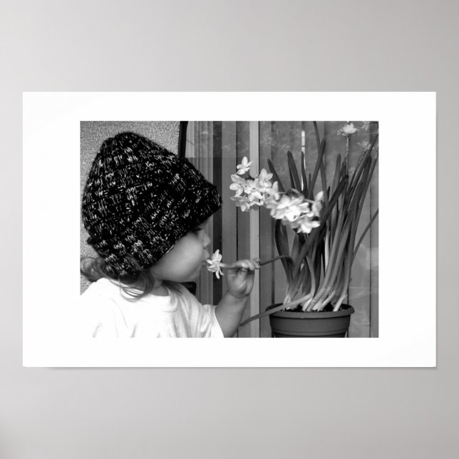 Erste Blume Poster (Vorne)