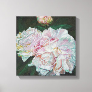 Erste Blüte 2012 Leinwanddruck