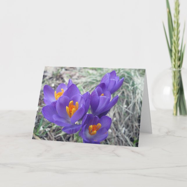 Erste Blüte des Frühlinges Karte (Vorderseite)