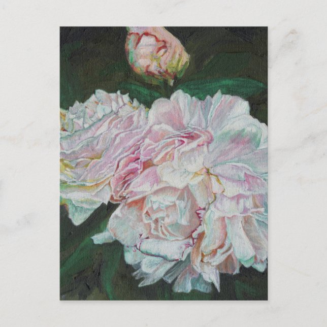 Erste Blüten 2012 Postkarte (Vorderseite)