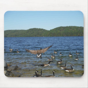 Erste Gänse zum Fliegen, Gänse am Arrowhad-See Mousepad