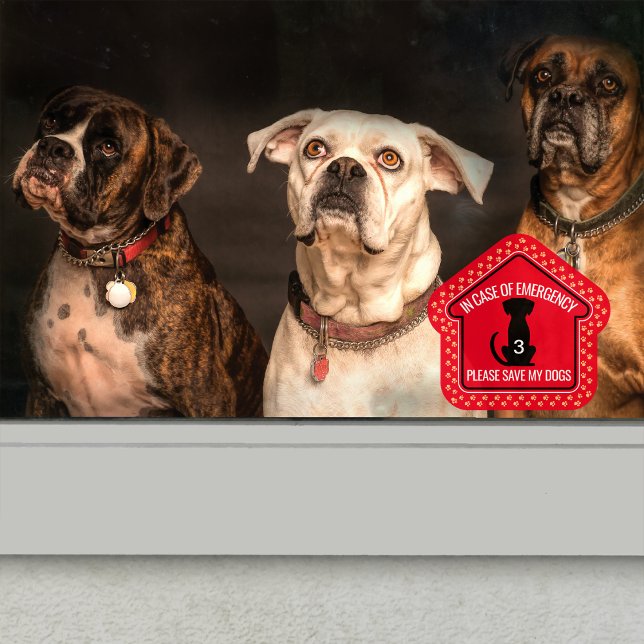 Erste Hilfe für meine Hunde gerettet Sicherheitswa Fensteraufkleber (Von Creator hochgeladen)