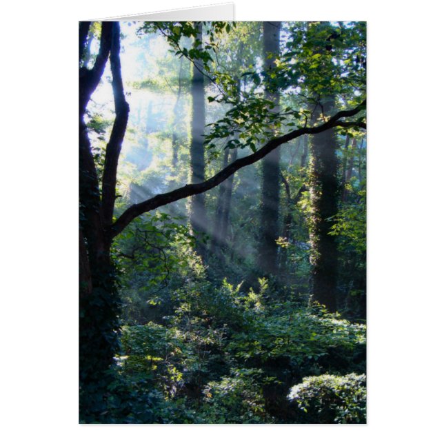 Erste Lichtkarte (Vorne)