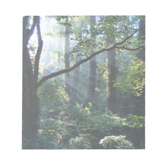 Erste Light Notepad Notizblock (Vorderseite)