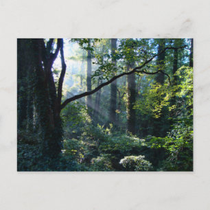 Erste Light Postkarte