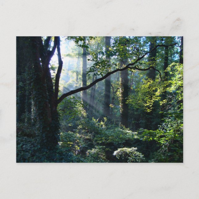 Erste Light Postkarte (Vorderseite)