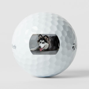 erste sibirische Huselleage Golfball