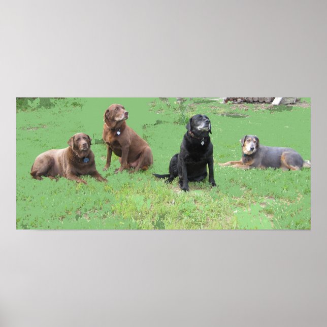 Erste vier poster (Vorne)