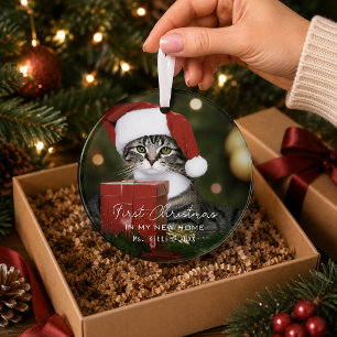 Erste Weihnachten in meiner neuen Zuhause Niedlich Ornament