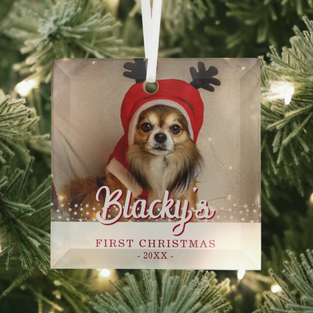 Erste Weihnachts Welpe Foto White Stars Ornament Aus Glas (Insitu)