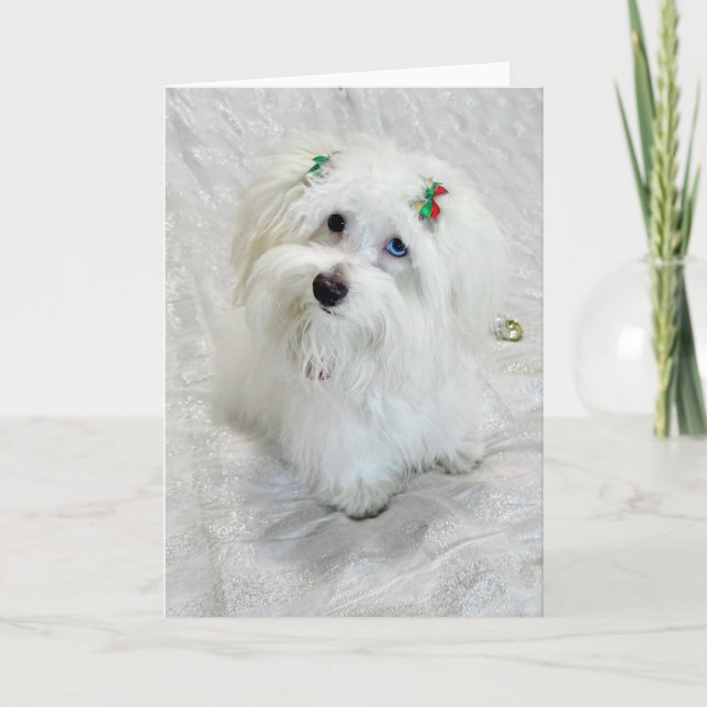 Erste Weihnachtsfeier Karte (Vorderseite)