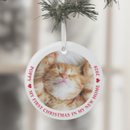 Erste Weihnachtsfeier Neue Zuhause Kitten Cat Foto Ornament Aus Glas