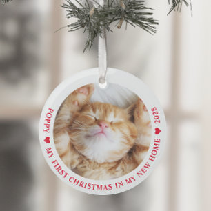 Erste Weihnachtsfeier Neue Zuhause Kitten Cat Foto Ornament Aus Glas