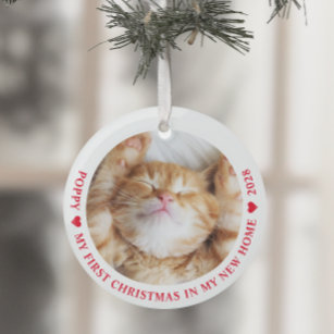 Erste Weihnachtsfeier Neue Zuhause Kitten Cat Foto Ornament Aus Glas