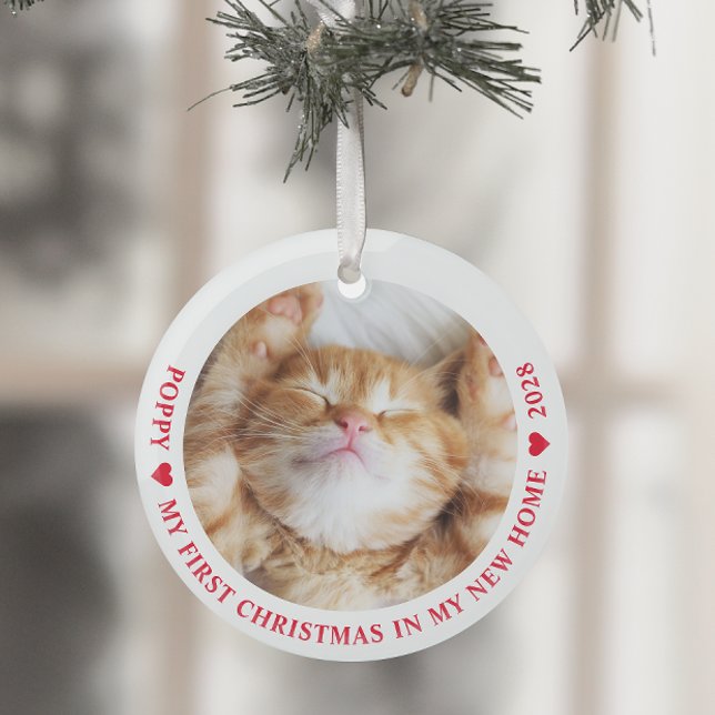 Erste Weihnachtsfeier Neue Zuhause Kitten Cat Foto Ornament Aus Glas (Von Creator hochgeladen)