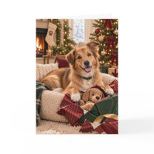 Erste Weihnachtskarte des Rettungshundes
