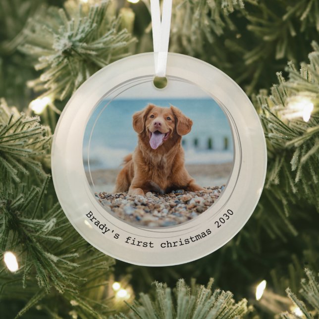Erste Weihnachtszeit Modernes Foto für Hunde Ornament Aus Glas (InSitu)