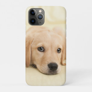Erstelle Dein eigenes Haustier-Foto als individuel Case-Mate iPhone Hülle