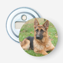 Erstelle Dein eigenes Haustier-Foto als individuel