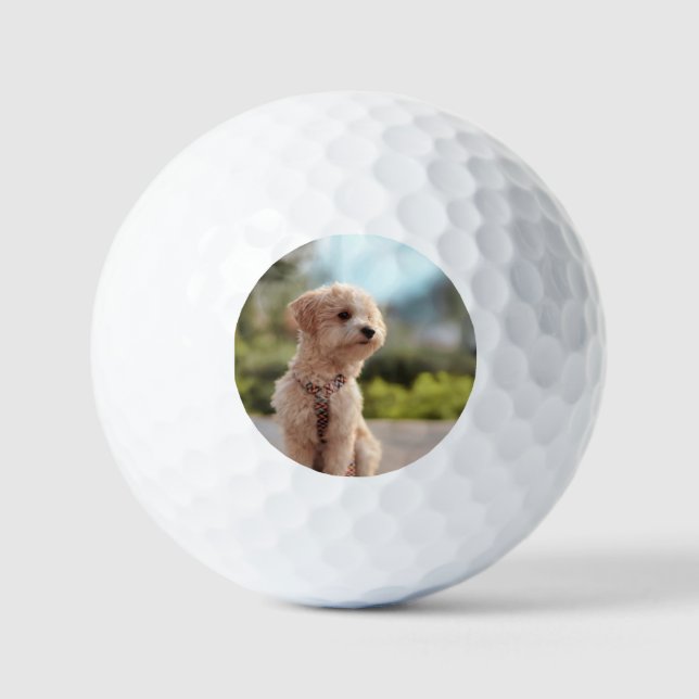Erstelle Dein eigenes Haustier-Foto als individuel Golfball (Vorderseite)