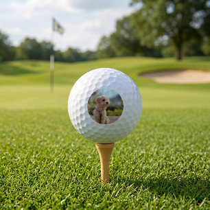 Erstelle Dein eigenes Haustier-Foto als individuel Golfball