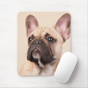 Erstelle Dein eigenes Haustier-Foto als individuel Mousepad