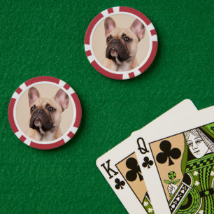 Erstelle Dein eigenes Haustier-Foto als individuel Pokerchips