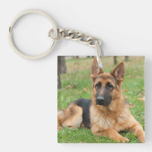 Erstelle Dein eigenes Haustier-Foto als individuel Schlüsselanhänger