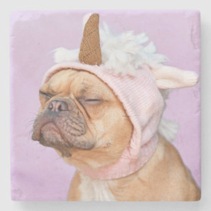 Erstelle Dein eigenes Haustier-Foto als individuel Steinuntersetzer