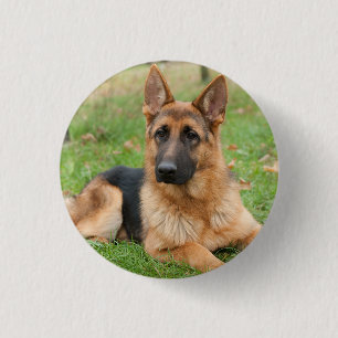 Erstelle Dein Eigenes Haustier-Foto Individuelles Button