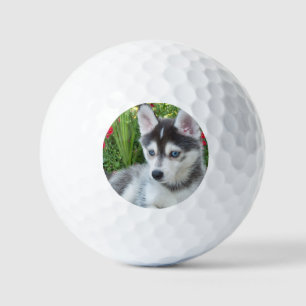 Erstelle Dein Eigenes Haustier-Foto Individuelles Golfball