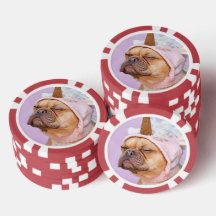 Erstelle Dein Eigenes Haustier-Foto Individuelles 