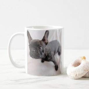 Erstelle Dein eigenes Haustier-Foto Kaffeetasse