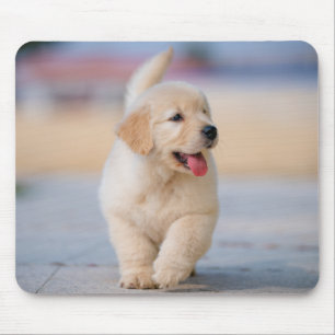 Erstelle dein eigenes Haustier Mousepad