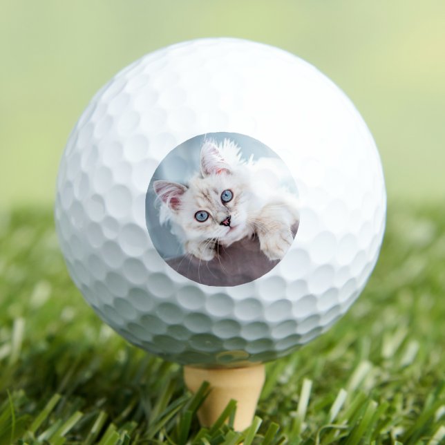 Erstelle dein eigenes Haustierfoto Golfball (Create your Own Photo Golf Balls)