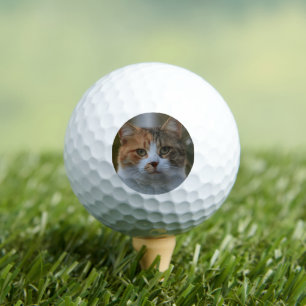 Erstelle Dein eigenes Katzenfoto nach Maß Golfball