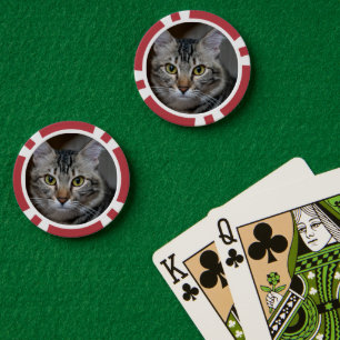 Erstelle Dein eigenes Katzenfoto nach Maß Pokerchips
