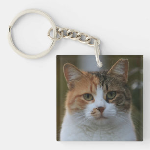 Erstelle Dein eigenes Katzenfoto nach Maß Schlüsselanhänger
