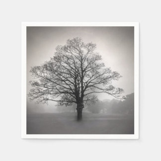 Erstelle Deine eigene B&W Baum-Silhouette & Nebel Serviette