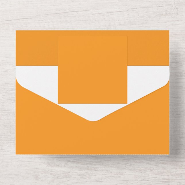 Erstellen Atemberaubender Visualisierungen mit ora All In One Einladung (Rückseite)