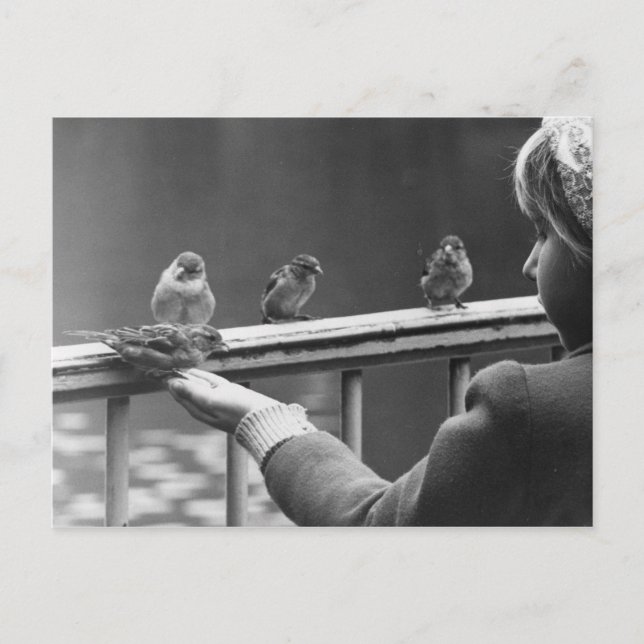 Erstellen einer geordneten Warteschlange Postkarte (Vorderseite)